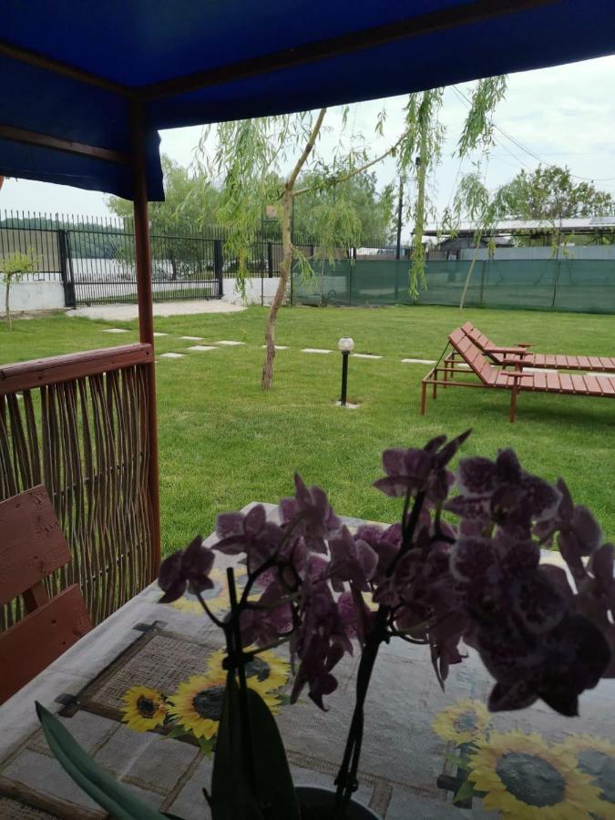Casutele Deltei Hotell Mahmudia Eksteriør bilde
